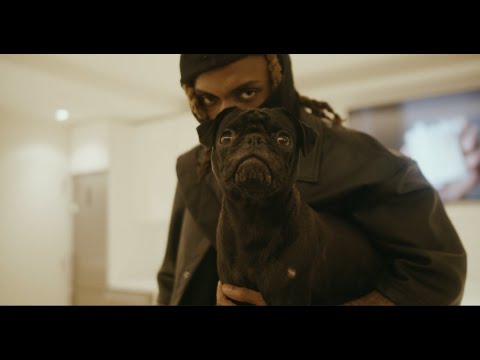 Donz Stacks SnakeShit (Official Video)