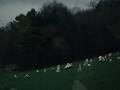 Charli Xcx Always Everywhere Official Video