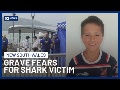 12-Year-Old Boy Fighting For Life After Bull Shark Attack In Sydney Harbour | 10 News