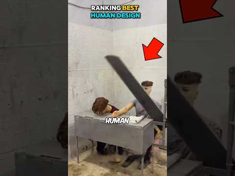 Ranking The Best Design is Very Human 😂