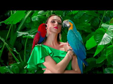 TCL C93 4K Mini LED - QD-QLED DISPLAY  (4K UHD)