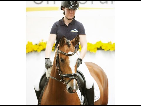 MINUTES TO MIDNIGHT 6j. Stute v. The breas my mobility