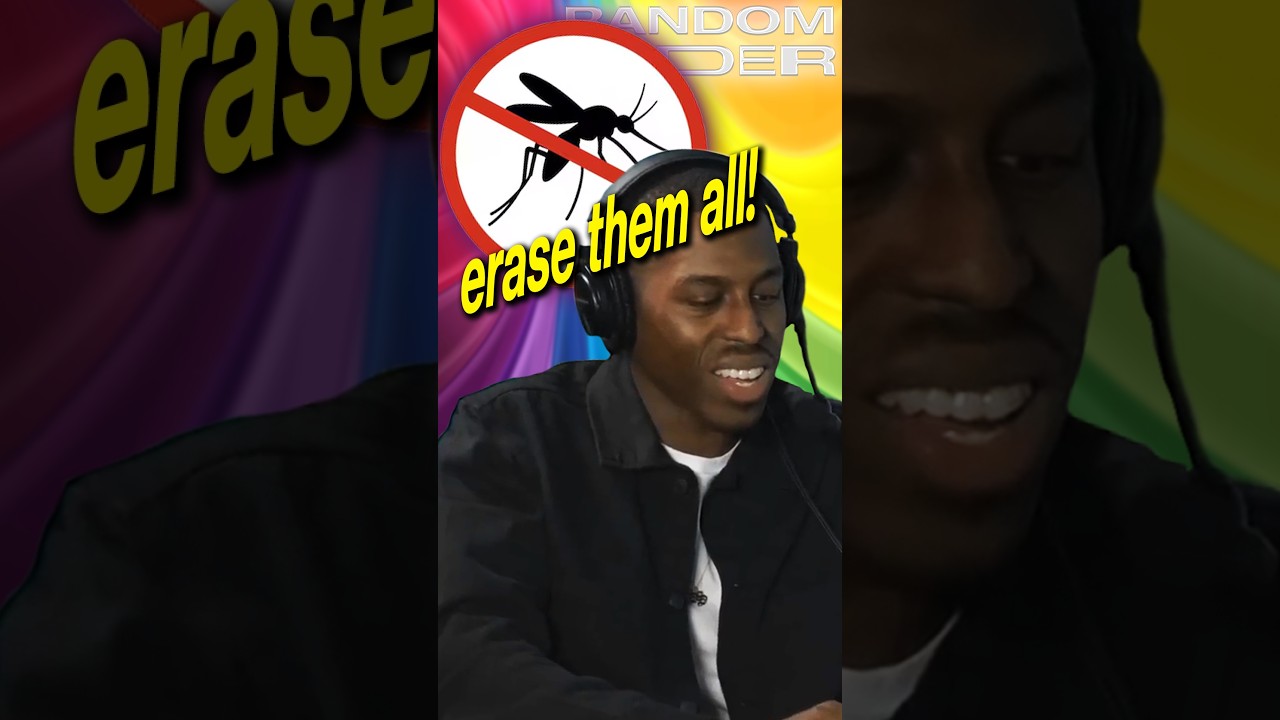 They Dropped The Super Mosquito