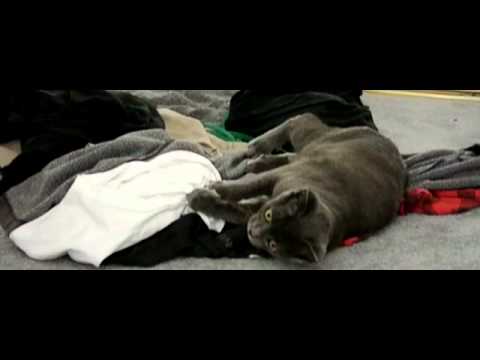 Мишка being cute in slow motion