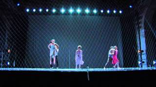 Swan Lake - Harmony / L&#39;Armonie