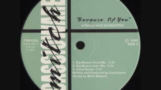 Cassioware - Because Of You (Big Moises Vocal Mix)
