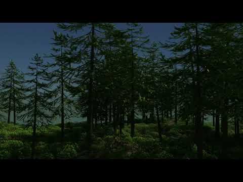 Oak forest l made with blender 2.8