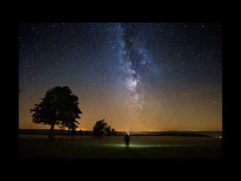 SHED - Simpaticni niko 2005