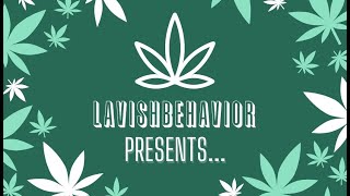 Strain of the Week - Iced Lemonade