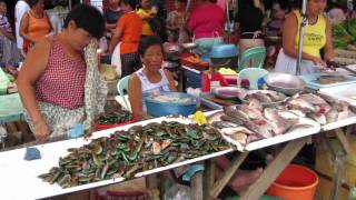 preview picture of video 'The market of Cabanatuan city 2006'