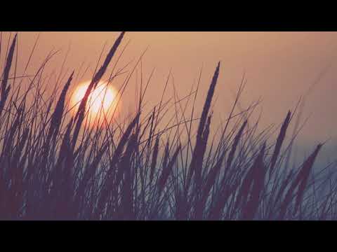 Puiu Chibici şi Ilie Puha – Departe de casă