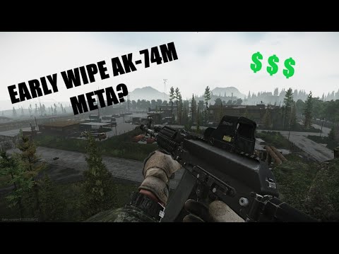 Escape From Tarkov 12.12: AK-74M Early Wipe Meta Build
