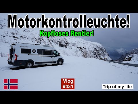 #431 Roadtrip Norwegen, Senja - Problem?  MOTORKONTROLLEUCHTE! | Schnee, Fjord, Rentiere, Flakstad