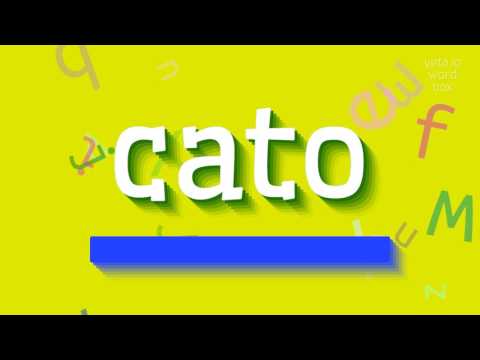 How to say "cato"! (High Quality Voices)