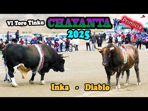 VI ToroTinku de CHAYANTA 2025, 1ra Ronda "Inka-Diablo".(Video Oficial) de ALPRO BO.
