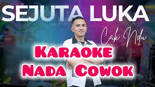 Download lagu SEJUTA LUKA ~ SLOW~ KARAOKE HD NADA COWOK mp3