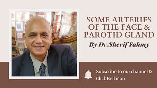 Dr. Sherif Fahmy - Other arteries & Parotid gland