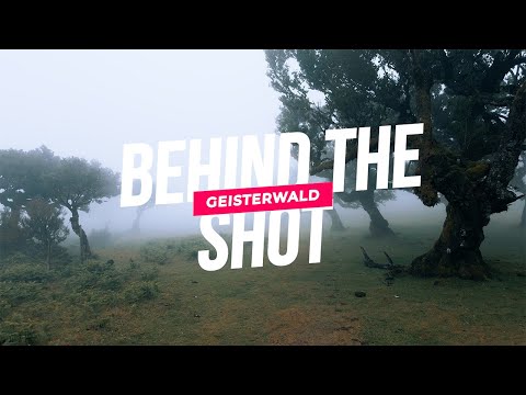 Geisterwald Madeira & wieso ich fast abgebrochen hätte | BTS #2