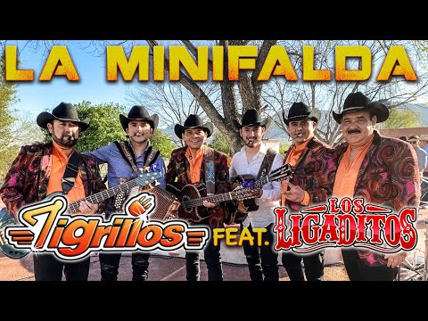 LOS TIGRILLOS FT. LOS LIGADITOS - LA MINIFALDA