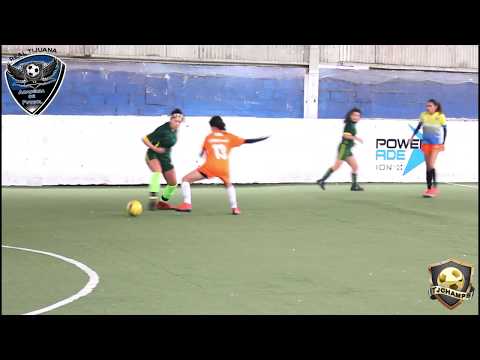 BRASIL  VS  LOBAS TIJUANA FINAL DE LIGA FEM  ACADEMIA REAL TIJUANA