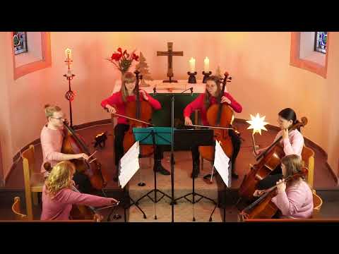 19 Celloensemble Musikschule Frankenberg