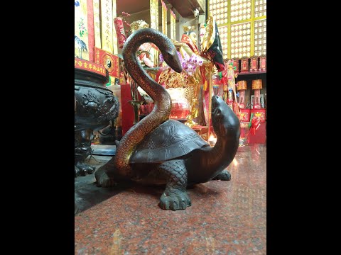 玄武龜蛇圖