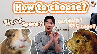 "The Ultimate Guide to Choosing the Perfect Cage for Your Piggies"👍 | GuineaDad School