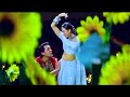 Tere Aage Piche Kahin Dil Kho Gaya ️Love Song ️ Hum To Mohabbat Karega 2000 Alka Kumar Sanu