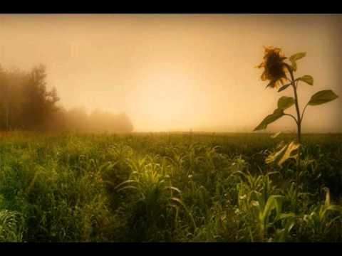 OFRANDA - PARTAJ ( MAGDA PUSKAS si TATIANA STEPA ) & TCHA LIMBERGER. AVI