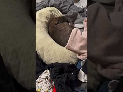 Waking up to laundry… I could see the tamper in her eyes