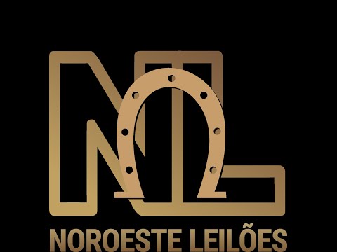 🐮 TRADICIONAL LEILÃO DE GADO DE CORTE  - NOROESTE LEILÕES EM UNAI - MG