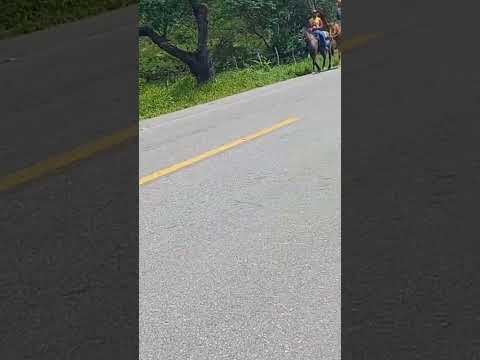 CAVALEIROS CHEGANDO NA PEDRA DE PADRE CÍCERO EM DOIS RIACHOS-AL #alagoas #nordeste  #padrecicero