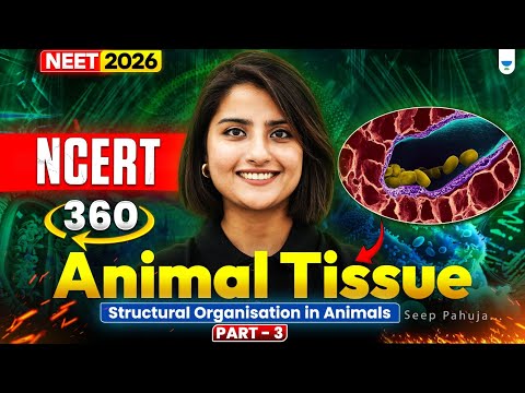 ⚡NEET 2026 Biology: NCERT 360: Animal Tissue Part 3 | Seep Pahuja #neet2026