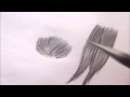 Como Desenhar Cabelos Aula 05 do Curso Básico de Desenho Artístico Grátis