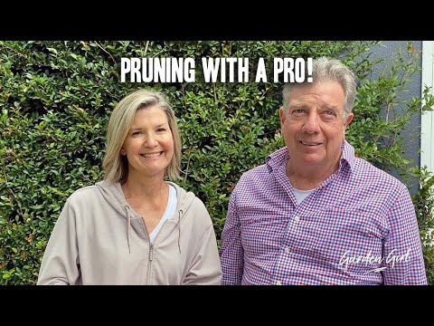 Pruning with the Pros! - Apple Tree
