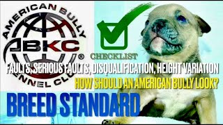 ABKC Breed Standard Pt 4 | Faults Disqualification | Pocket Classic XL | How Does An American Bully