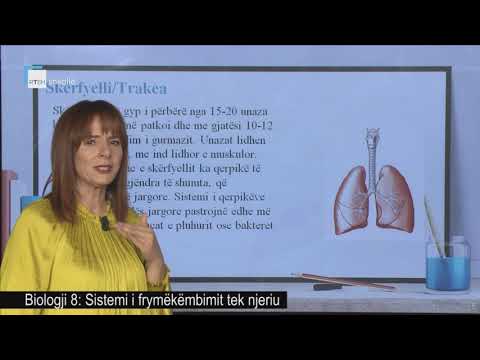 Biologji 8 - Sistemi i frymëkëmbimit tek njeriu
