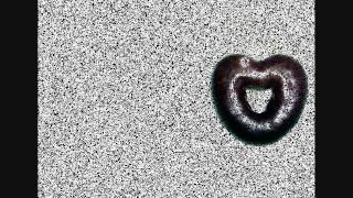 Cat Power - Wonderwall (lyrics + traduction française)