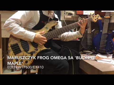 Maruszczyk FROG Series FROG Omega 5a 'Buckeye Maple'