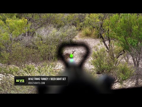 Rear Sight Installation