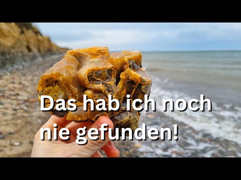 Diesen Stein wollte ich immer finden! Fossilien suchen an der Ostsee