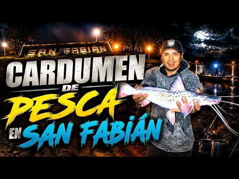 cardumen de pescado en san Fabián #pesca 