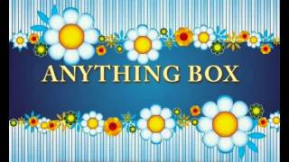 ANYTHING BOX-EVERY SINGLE DAY.WMV