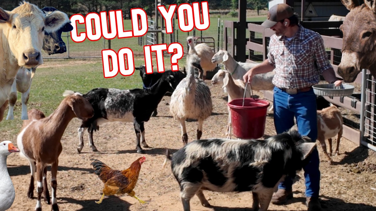 I’m All Alone To Care For Over 200 Farm Animals! (Full Morning Routine ALL On Camera)