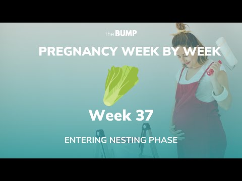 This week in Babyland (Week 37)