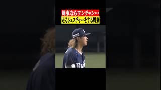 「え、え、え、え、え、どっちどっち⁉」 #shorts