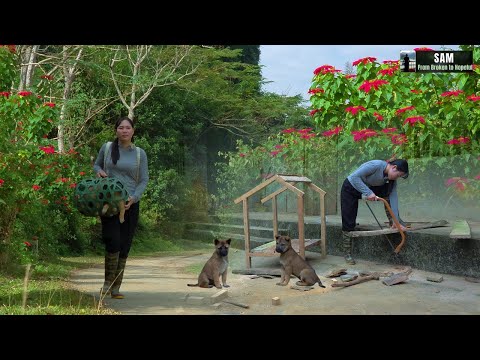 Living Alone Off-Grid in an Abandoned House | A New Beginning | Episode 6