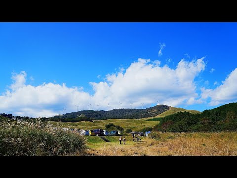 絶景のすすき 稲取細野高原