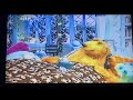 Emily S Favorite Scene Bears Sneezed Again