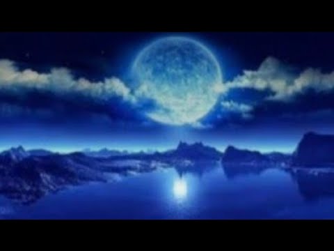 Random message #515 - No selection